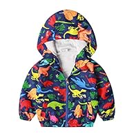 Little Boy Zipper Hooded Jacket,Cool Cartoon Dinosaur Print Long Sleeve Windproof Casual Outerwear Colorful 4T