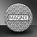 Strong Hold Fridge Magnets MAGNX (Pack of 20) - Fun Modern California Look and Design - Durable, Reliable and Lasting Quality