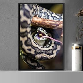 signwin Framed Canvas Wall Art Snake Contemporary Dramatic...