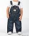 Levi's Baby Boys' Denim Overalls,Glare, 24 Months