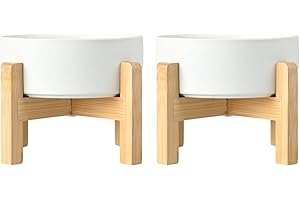 SPUNKYJUNKY Ceramic Elevated Dog Bowls 2 Pack - 6.1inch Raised Dog Bowls with Non-Slip Wooden Stand for Medium Dogs Dishwasher Safe(White,28.7OZ*2)