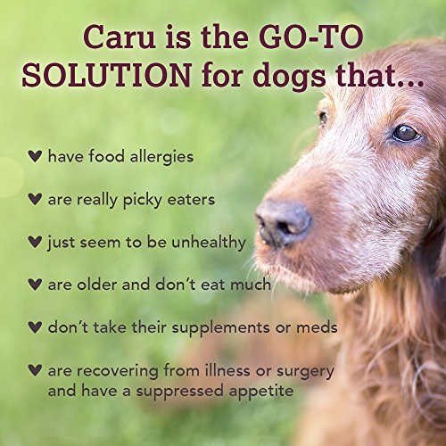 CARU REAL TURKEY WITH LAMB STEW FOR DOGS, NATURAL ADULT WET DOG FOOD WITH ADDED VITAMINS AND MINERALS, FREE FROM GRAIN, WHEAT AND GLUTEN (12.5 OZ)