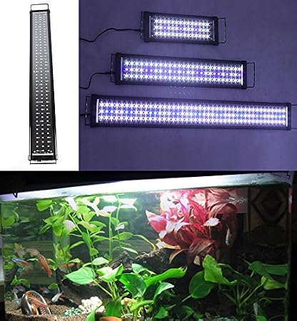Zeiger Eco Couvercle Déclairage Led Lampe De Poisson Deau