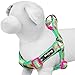 Blueberry Pet 5 Colors Soft & Comfy Step-in Paisley Flower Print Dog Harness, Chest Girth 15.5