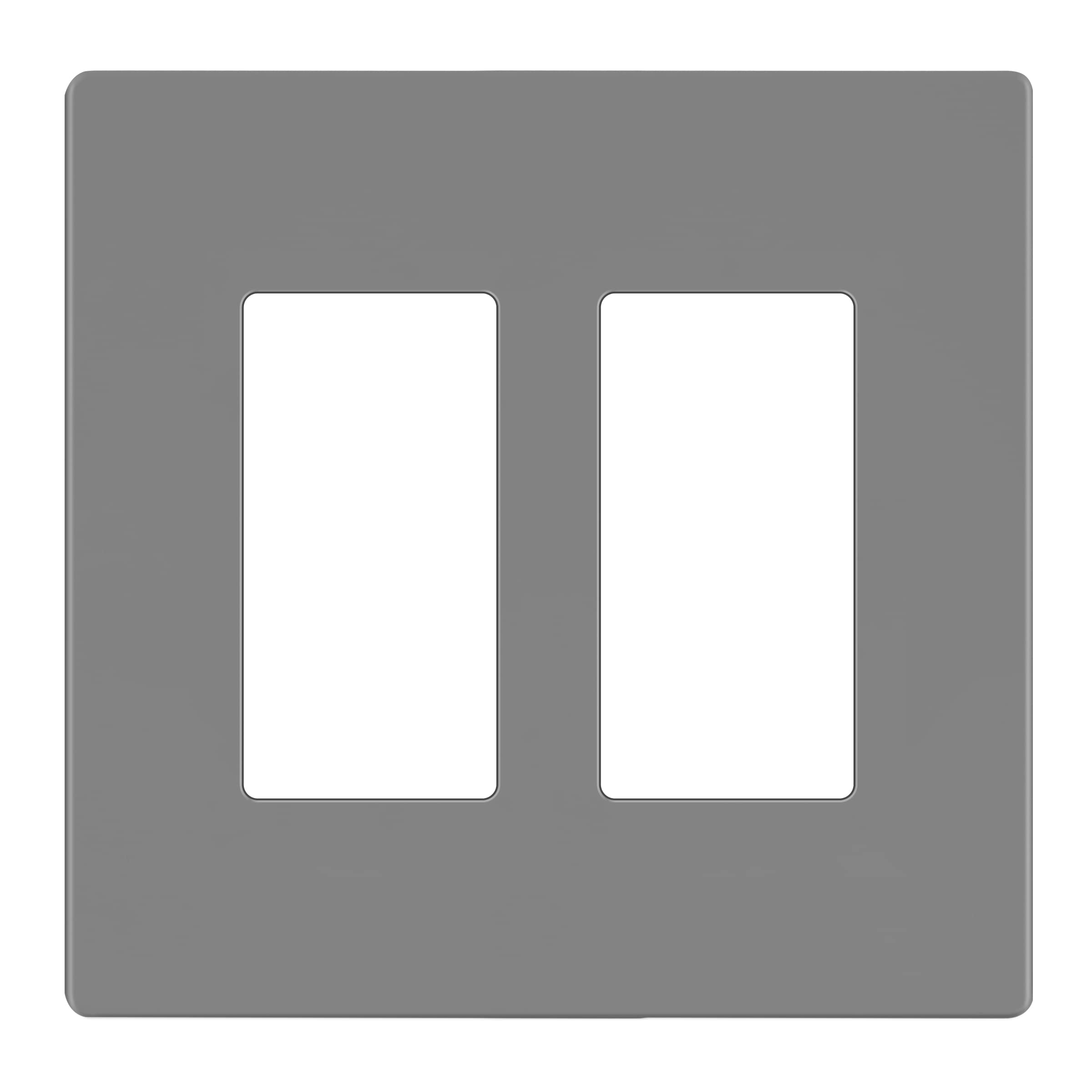 LIDER Matte Finish Decorator Switch