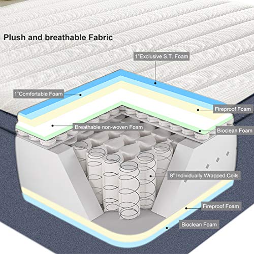 Molblly 12 inch King Mattress Individually Wrapped Coils Innerspring