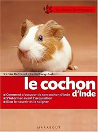 Le  cochon d'Inde