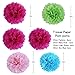 SUNBEAUTY Pack of 11 Fuchsia Pink Blue Paper Decoration Kit Paper Lanterns Pom Poms Flowers for Wedding Birthday Girl Valentine Party Nursery Decoration