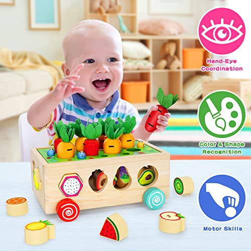 Wooden Montessori Toys for 1 2 3 Year Old Baby Girls Boys, Wood Shape