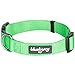 Blueberry Pet Essentials Dog Collar | Adjustable Girl Dog Collars for Medium Dogs | Neon Green Puppy Collar | Classic Nylon Dog Collars for Small Dogs | Pet Accessories