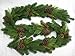 Fine Expectations Juniper Pine Garland, 9' by 14