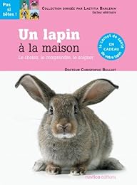 Un  lapin à la maison