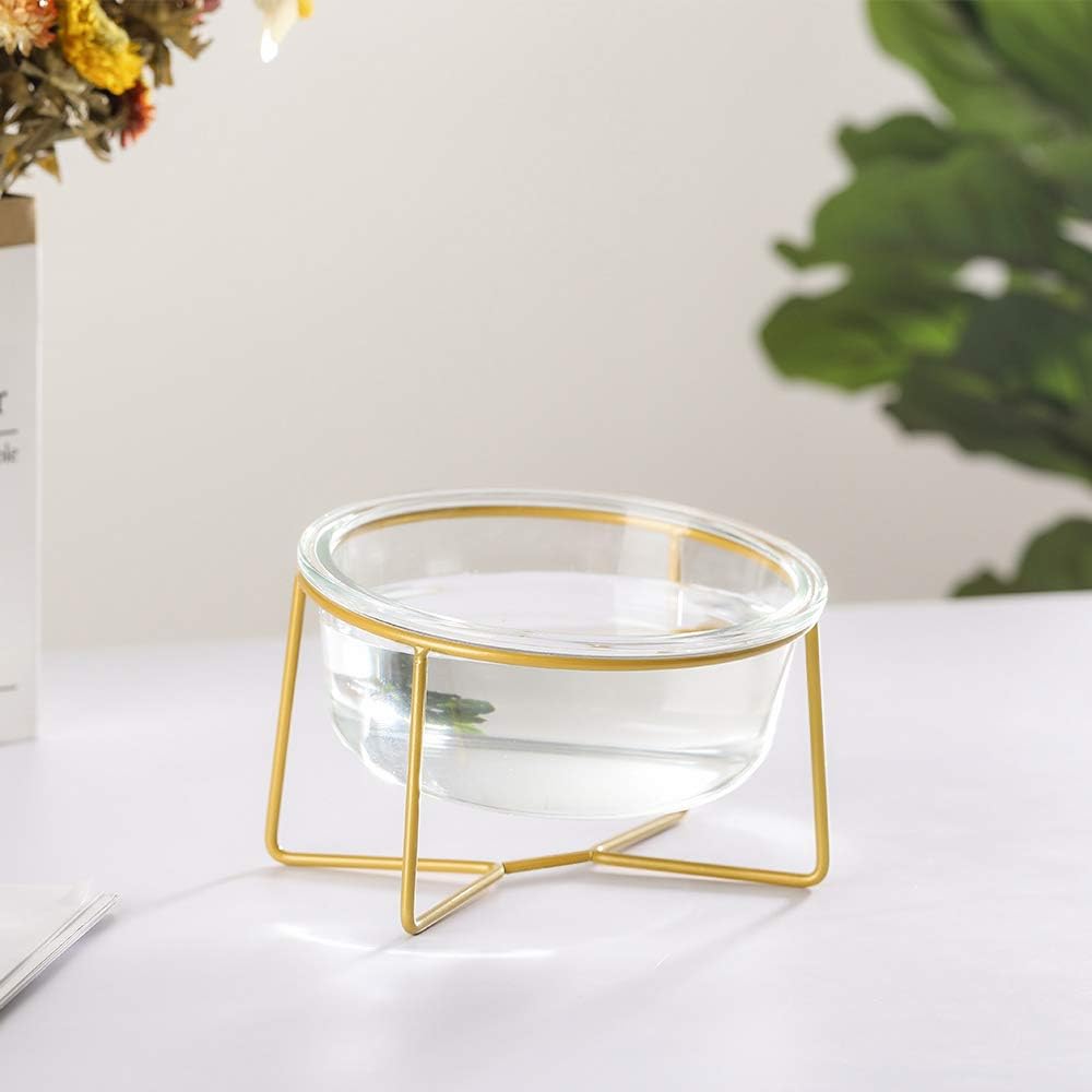 Glass Cat bowls Elevated Tilted, Raised Cat Bowl Anti Vomiting, Cat Feeding Bowls with Metal Stand, Small Dog Bowl - Image 4