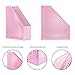 Desk Organizer Office Desk Set: Desktop Accessories for Women Teens. Includes Paper Magazine File Holder - Mail Holder Pen Cup Note Holder Clip Cup Cute Decor for Storage Supplies Organizers - Pink