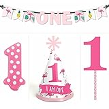 Flamingo - Party Like a Pineapple - 1st Birthday Girl Smash Cake Kit - High Chair Decorations