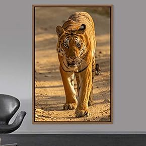 signwin Framed Canvas Wall Art Tiger Animals Chic...