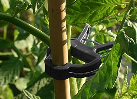 Schone Products (UK) Planta de jardín & flor clips-clamps a apoyo ...