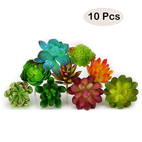 Nextnol 10pcs Artificial Succulents Plants Fake Succulents Wall Decoration DIY Materials (10 Different Kinds Plants) - Thumbnail 5