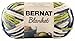 Bernat Blanket Yarn, 5.3 oz, Oceanside, 1 Ball