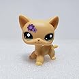 Mini Pet Toys #1962 Yellow Short Hair Cat Rare Purple Flower Green Eyes Cute Kitty