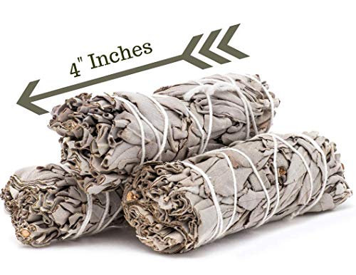 Sage Smudge Sticks, 3 White Sage Bundles Refill - Energy Cleansing, California White Sage Smudging Sticks, Organic, Freshly Dried Incense Sage Stick Set, Sustainable, Charitable Positive Vibes! - Thumbnail 2