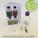 Algae Research Supply Algae Culture-Nannochloropsis, Perfect for School Science Fairs/Projects, Experiments & Classrooms
