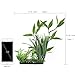 GTidea Aquarium Ornament Large Fish Tank Plastic Underwater Plant Silk Green Grass Leaves for Home Office Saltwater Freshwater Tropical Tank Decorations in 12.4 Inch