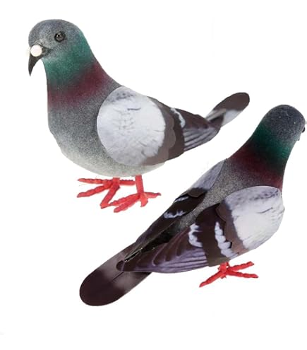 Abaodam Paloma de simulación de goma realista mini pájaros para paloma cosas juguetes estatua artificial Abaodam Paloma de simulación de goma realista mini pájaros para paloma cosas juguetes estatua artificial