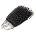 Luwigs Afro Kinky Curly 5x5 Lace Closure Human Virgin Hair 4B 4C Lace Closure with Baby Hair Free Part Natural Color (12 inches, Afro Kinky Curly 4B 4C)
