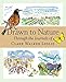 Drawn to Nature: Through the Journals of Clare Walker Leslie by Clare Walker Leslie
