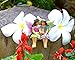 Miniature Fairy Garden Sisters Alice & May (Hand Painted) by Twig & Flower Gifts for Her