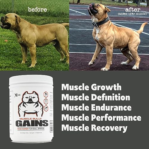 Muscle Bully Gains Mass Weight Gainer for Dogs, Whey Protein, Flax