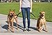 Leash Boss Short Dog Leash with Padded Handle - 12, 18, and 24 Inch Leads for Large Dogs - 1 Inch Nylon (18 in, Black/Red/Gray)