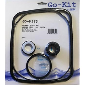 Amazon.com : Aladdin GO-KIT3 Tune Up Kit for Hayward Super