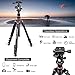 BONFOTO B690A Lightweight Aluminum Tripod Portable Travel Camera Stand with 360 Degree Ball Head and Carry Bag, Tripods for Canon Nikon Sony DSLR
