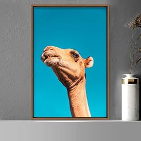 signwin Framed Canvas Wall Art Camel Animals Camels...
