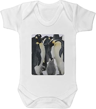 penguin baby grow