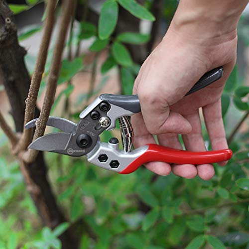 Sanung Pruning Shears Gardening Tools Garden Shears with Sharp Japanese High Carbon Steel Teflon Coated Blade and Non-slip Handles, Easy to Trim Tree Branches with Left and Right Hands for Farms - Thumbnail 5