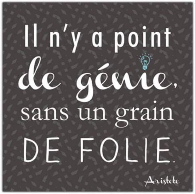 Citation Aristote Il Ny A Point De Genie Sans Un Grain De Folie 40x40cm Tableau Mural Toile Sud Trading Tableaux Posters Et Arts Decoratifs Cuisine Maison Schoolofbabywearing Com
