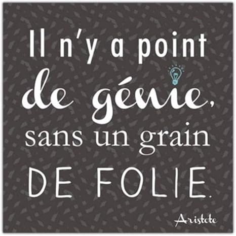 Sud Trading Tableau Mural Toile Citation Aristote Il N Y A Point De Genie Sans Un Grain De Folie 40x40cm Amazon Fr Cuisine Maison