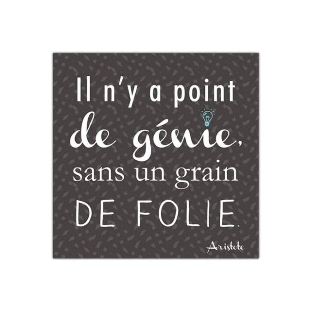 Citation Aristote Il Ny A Point De Genie Sans Un Grain De Folie 40x40cm Tableau Mural Toile Sud Trading Tableaux Posters Et Arts Decoratifs Cuisine Maison Schoolofbabywearing Com