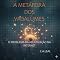 Livro A METAFORA DOS VAGALUMES: O PROBLEMA DA ADULTIZAÇÃO NA INTERNET
