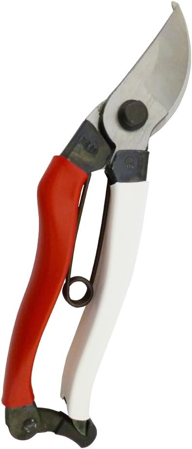 Niwaki Secateurs