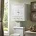 Crosley Furniture Lydia Wall Mounted Bathroom Storage Medicine Cabinet with a Drawer and Shelves, White