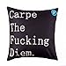 DolphineShow Cotton Linen Square Carpe The Fucking Diem Pattern Sofa Simple Pillow Cushion Cover 18x18 Inches