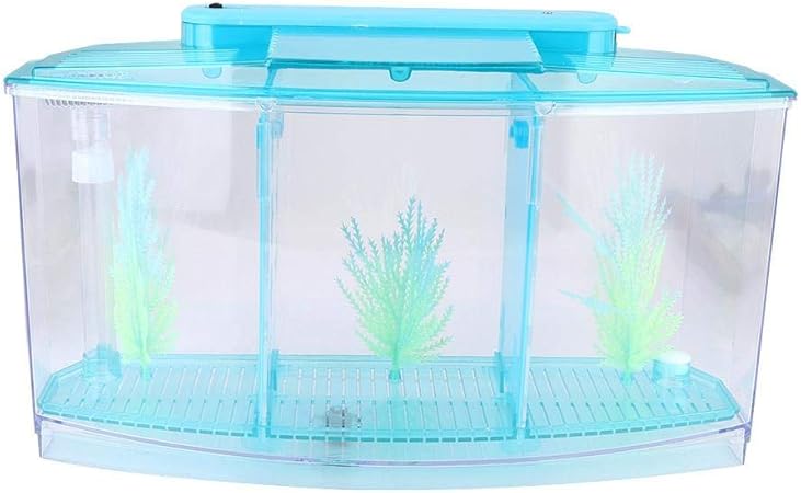 amazon betta fish accessories