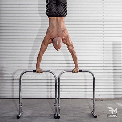 Lebert Fitness Dip Bar Stand Original Equalizer Total Body