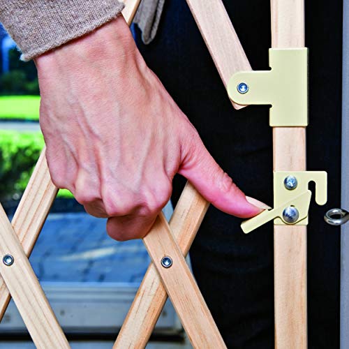 Evenflo expansion swing wide wood gate Clearance
