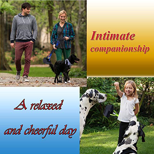 DMATEC Dog Pooper Scooper for Large Dogs, Foldable Pet Poop Waste Pick Up Rake with Portable Long Handle - Durable Spring Easy to Use for Grass, Dirt, Gravel Pick Up (2 Pack)