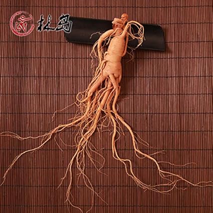 Amazon Com Aurshottam 长白山保鲜山参shen 大支新鲜林下山参shen 鲜人参shen 单支装包邮 Grocery Gourmet Food